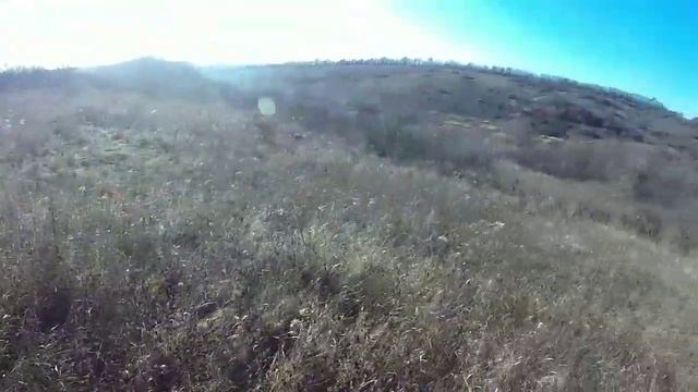 Удачная охота на зайца, заяц #2 смотреть онлайн