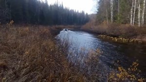 Фрегат 430 jet Ямаха 40 + водомёт река Чуть