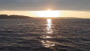 В Северный Ледовитый океан.