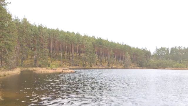 нож Ka-Bar BK 40 тест по продуктам  testing грибной суп