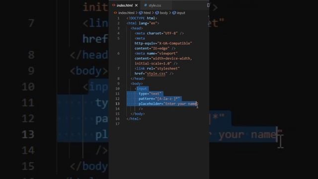 shaking Animation for Invalid Input | Using HTML,CSS #the_tech_theater