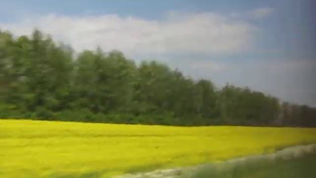 По дороге в Пензу смотреть онлайн