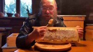 ГЕРМАН СТЕРЛИГОВ о мёде