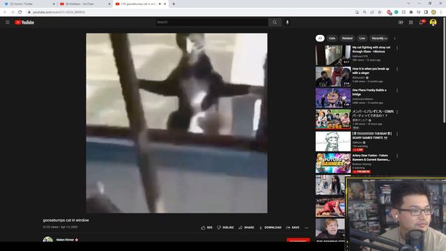 Make Me Laugh, I pay for your GSSR for FGO смотреть онлайн