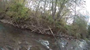 29.09.2017 ловля пеструшки на горной речке в приморье