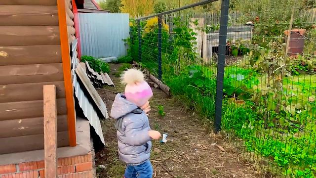 Путешествие Funny Cookieツ к животным/Funny Cookie'sツ Journey to Animals