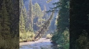 Рыбалка на северных реках Амурской области
