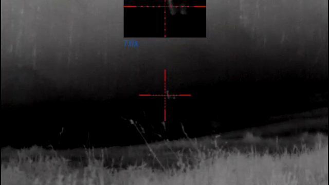 Козлик, Tikka T3x, 150 метров