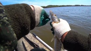 Рыбалка на реке Тунгуска в ЕАО 23 мая 2020