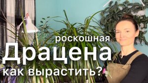 Пересадка | Уход в течении ГОДА - досветка, подкормки, обработки. Дневник садовода