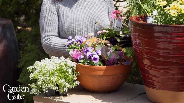 ? Spring Container Ideas ? смотреть онлайн