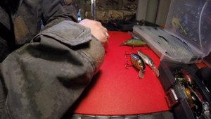 NGF-фактор поимки трофея #2 ( el coyote жжёт !)