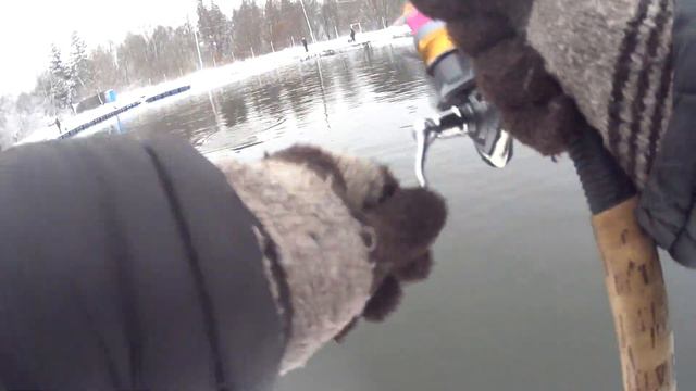 Ловля форели на спиннинг зимой.