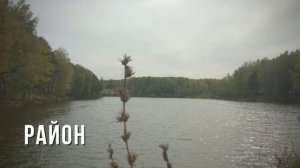 Недорогие квартиры в микрорайоне Серебряное Озеро, Академгородок, Новосибирск