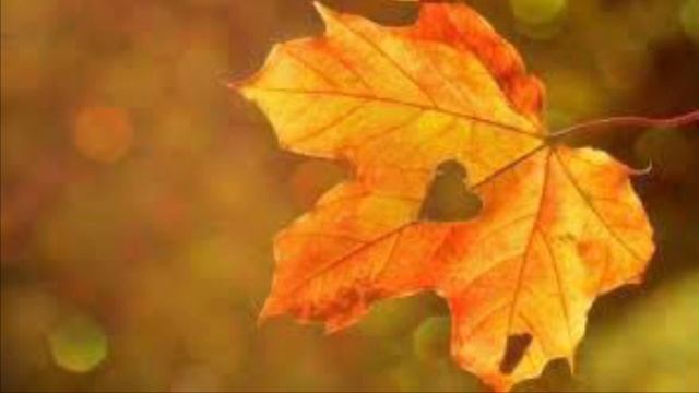 ???Осеннее Равноденствие 23 сентября 2023 года. смотреть онлайн