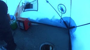 Аргази 18.01.15 зимняя рыбалка, чебак прёт