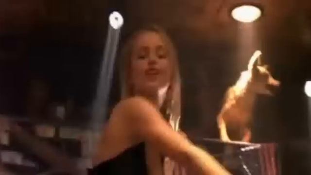 Бар "гадкий койот" смотреть онлайн