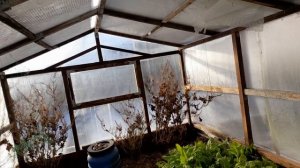 Снег на даче в начале зимы