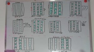 Когда же садить ремонтантную клубнику? Весной или Осенью?