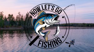 WORLD FISHING NETWORK 24\7 ПРЯМАЯ ТРАНСЛЯЦИЯ 24\7