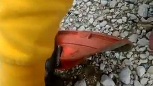 debrousailleuse echo srm 220es