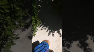 Cinnamon Dhonveli Maldives территория, номер junior beach suite