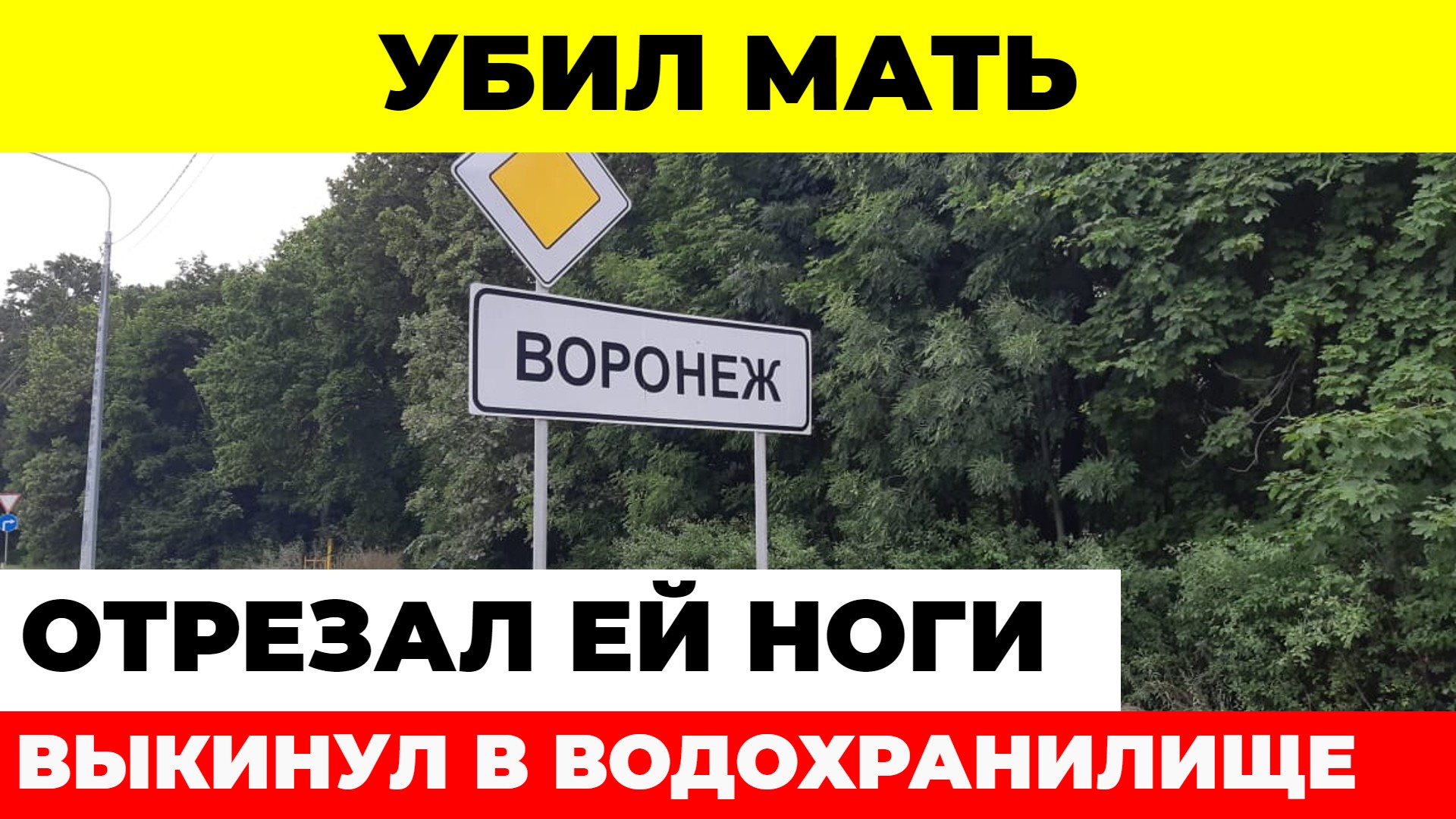 В Воронеже осудят мужчину, расчленившего труп матери и выбросившего ноги в водохранилище смотреть онлайн