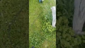 Как косить газонокосилкой