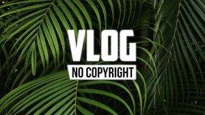 Markvard - Forever (Vlog No Copyright Music)