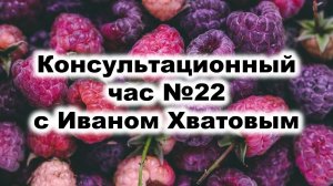 Консультационный час 22 (25 августа 2023)