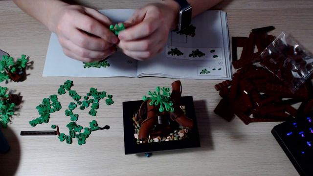Building the LEGO Bonsai Tree #10281 смотреть онлайн