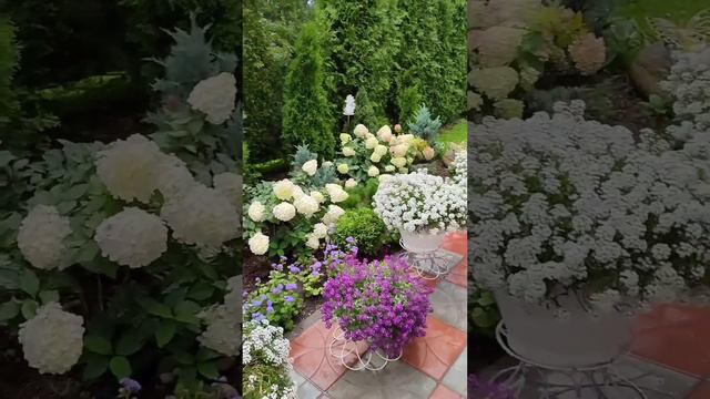 My Dream Garden 🌸💮 смотреть онлайн