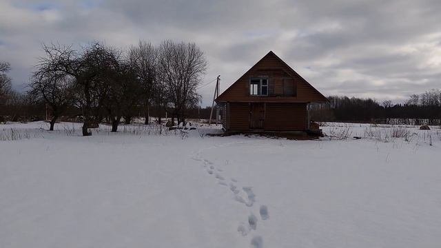 Дом в деревне. Два домика у озера. Обзор продаваемых домов в 2022 году. #купить дом в деревне