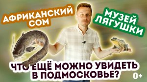 РЫБНАЯ ФЕРМА | МУЗЕЙ ЛЯГУШКИ | ОТ СОХИ ДО СОХИ | МОЙ ГЕКТАР | 0+