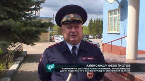 Внимание! Дикие животные на дороге!