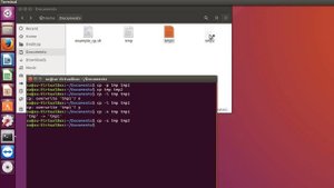 Linux команда cp - копирование файлов и папок на Ubuntu