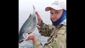 Ловля ЛОСОСЯ троллингом. Морская рыбалка как есть!