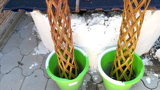 Крестная Альбиночки Творит Чудеса.. смотреть онлайн