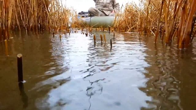 онлайн рыбалка в камышах 2 !!! смотреть онлайн