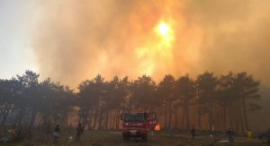 Лесные пожары охватили северо-запад Турции