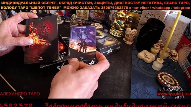 МБК К ТАРО ШЕПОТ ТЕНЕЙ | Предисловие автора смотреть онлайн