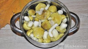 Маринованные зеленушки (желтушки) на зиму