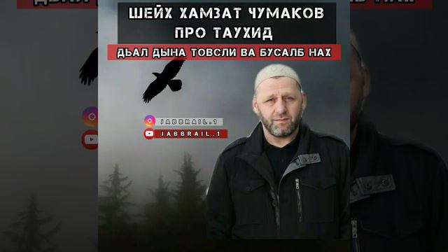 ШЕЙХ ХАМЗАТ ЧУМАКОВ ПРО ТАУХИД #ТАУХИД #МИРА #КАВКАЗ #НАЗРАНЬ #ЧЕЧНЯ #ГРОЗНЫЙ смотреть онлайн