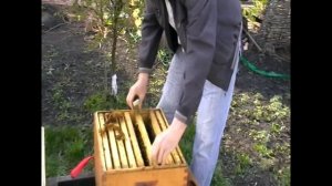 Расширение семей пчел и подстановка вторых корпусов ульев.mp4