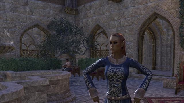 ESO - New Haircuts (discovered in Thieves Guild) смотреть онлайн