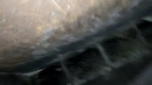 Бункерная кормушка для свиней