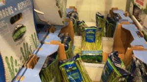 Большая закупка в Costco / Покупка продуктов / Шоппинг / Сравниваем цены  / США / Флорида