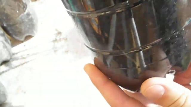 Как ускорить укоренение черенков винограда
