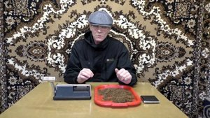 Табаководство. Что будет , если не обламывать пасынки и цвет.