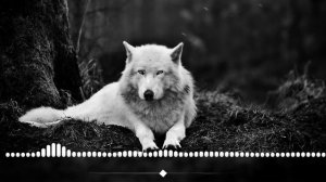 Руслан Добрый, Tural Everest -Волки (Ahmad Remix) New 2021